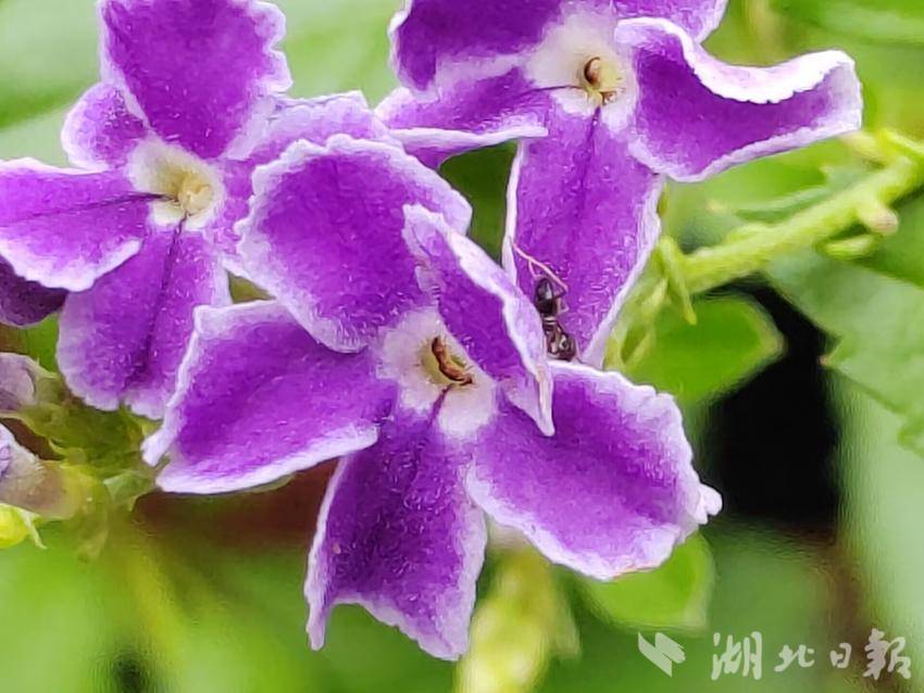 老虎机转转转5.7.1